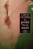 Un pont dans la nuit