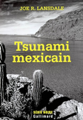 Tsunami mexicain