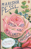 Special Topics in Calamity Physics