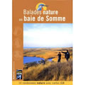 Balades nature en baie de Somme