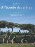 A l'écoute des arbres