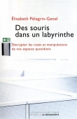 Des souris dans un labyrinthe. Décrypter les ruses et manipulations de nos espaces quotidiens
