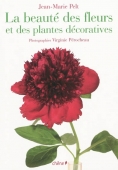 La beauté des fleurs et des plantes décoratives