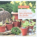 Je multiplie les plantes du jardin. Semis, division, bouturage