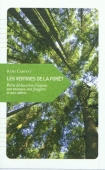 Les vertiges de la forêt