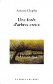 Une forêt d'arbres creux