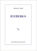 Icebergs