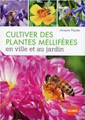 Cultiver les plantes mellifères