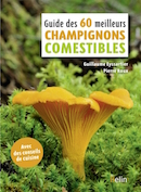 Guide des 60 meilleurs champignons comestibles